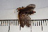  ( - MSMN-24-21-CM)  @11 [ ] CreativeCommons  Attribution Non-Commercial (by-nc) (2024) The Xerces Society The Xerces Society