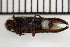  ( - OM-DIV-2023-001)  @11 [ ] CreativeCommons  Attribution Non-Commercial (by-nc) (2024) The Xerces Society The Xerces Society