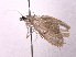  ( - ONP25-04-D01)  @11 [ ] CreativeCommons - Attribution Share Alike (2025) CBG Photography Group Centre for Biodiversity Genomics