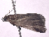  ( - ONP25-01-E01)  @11 [ ] CreativeCommons - Attribution Share Alike (2025) CBG Photography Group Centre for Biodiversity Genomics