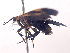  ( - ONP25-07-H08)  @11 [ ] CreativeCommons - Attribution Share Alike (2025) CBG Photography Group Centre for Biodiversity Genomics
