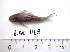  ( - LAR143)  @12 [ ] Copyright  LAR-IBR Unspecified