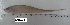  ( - LAR193)  @13 [ ] Copyright  LAR-IBR Unspecified