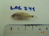  ( - LAR241)  @13 [ ] Copyright  LAR-IBR Unspecified