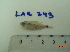  ( - LAR243)  @11 [ ] Copyright  LAR-IBR Unspecified