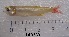  ( - LAR280)  @11 [ ] Copyright  LAR-IBR Unspecified
