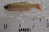  ( - LAR281)  @13 [ ] Copyright  LAR-IBR Unspecified