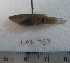  ( - LAR453)  @11 [ ] Copyright (2016) LAR-IBR LAR-IBR