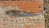  ( - LAR463)  @11 [ ] Copyright (2016) LAR-IBR LAR-IBR