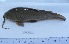  ( - LAR475)  @11 [ ] Copyright (2016) LAR-IBR LAR-IBR