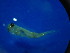  ( - LARVA46)  @12 [ ] No Rights Reserved (2013) Unspecified LGC- PUC Minas