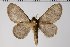  ( - BC-GD0554)  @11 [ ] Copyright (2018) Guy Durand Research Collection of Guy Durand