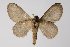  ( - BC-GD0554)  @11 [ ] Copyright (2018) Guy Durand Research Collection of Guy Durand