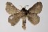  ( - BC-GD0555)  @11 [ ] Copyright (2018) Guy Durand Research Collection of Guy Durand
