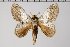  ( - BC-GD0563)  @11 [ ] Copyright (2018) Guy Durand Research Collection of Guy Durand