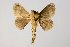  ( - BC-GD0604)  @11 [ ] Copyright (2018) Guy Durand Research Collection of Guy Durand