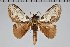  ( - BC-GD0642)  @11 [ ] Creative Common (2018) Guy Durand Research Collection of Guy Durand
