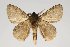  ( - BC-GD0684)  @11 [ ] Creative Common (2018) Guy Durand Research Collection of Guy Durand