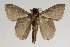  ( - BC-GD0687)  @11 [ ] Creative Common (2018) Guy Durand Research Collection of Guy Durand