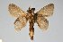  ( - BC-GD0694)  @11 [ ] Creative Common (2018) Guy Durand Research Collection of Guy Durand