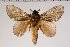  ( - BC-GD0698)  @11 [ ] Creative Common (2018) Guy Durand Research Collection of Guy Durand