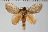  ( - BC-GD0699)  @11 [ ] Creative Common (2018) Guy Durand Research Collection of Guy Durand