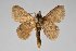 ( - BC-GD0713)  @11 [ ] Creative Common (2018) Guy Durand Research Collection of Guy Durand