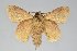  ( - BC-GD0722)  @11 [ ] Creative Common (2018) Guy Durand Research Collection of Guy Durand