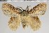  ( - BC-GD0724)  @11 [ ] Creative Common (2018) Guy Durand Research Collection of Guy Durand
