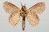  ( - BC-GD0727)  @11 [ ] Creative Common (2018) Guy Durand Research Collection of Guy Durand