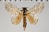  ( - BC-GD0732)  @11 [ ] Creative Common (2018) Guy Durand Research Collection of Guy Durand