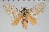  ( - BC-GD0733)  @11 [ ] Creative Common (2018) Guy Durand Research Collection of Guy Durand