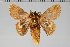  ( - BC-GD0741)  @11 [ ] Creative Common (2018) Guy Durand Research Collection of Guy Durand