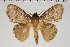  ( - BC-GD0767)  @11 [ ] Creative Common (2018) Guy Durand Research Collection of Guy Durand