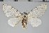  ( - BC-GD0768)  @11 [ ] Creative Common (2018) Guy Durand Research Collection of Guy Durand