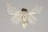  ( - BC-GD0769)  @11 [ ] Creative Common (2018) Guy Durand Research Collection of Guy Durand
