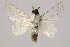  ( - BC-GD0772)  @11 [ ] Creative Common (2018) Guy Durand Research Collection of Guy Durand