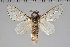  ( - BC-GD0774)  @11 [ ] Creative Common (2018) Guy Durand Research Collection of Guy Durand