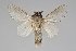  ( - BC-GD0774)  @11 [ ] Creative Common (2018) Guy Durand Research Collection of Guy Durand