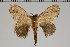  ( - BC-GD0784)  @11 [ ] Creative Common (2018) Guy Durand Research Collection of Guy Durand
