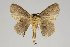 ( - BC-GD0784)  @11 [ ] Creative Common (2018) Guy Durand Research Collection of Guy Durand