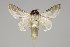  ( - BC-GD0787)  @11 [ ] Creative Common (2018) Guy Durand Research Collection of Guy Durand