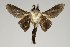  ( - BC-GD0796)  @11 [ ] Creative Common (2018) Guy Durand Research Collection of Guy Durand