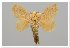 ( - GD-GF0014)  @11 [ ] Copyright (2018) Guy Durand Research Collection of Guy Durand