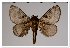  ( - GD-GF0024)  @11 [ ] Copyright (2018) Guy Durand Research Collection of Guy Durand