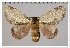  ( - GD-GF 0041)  @11 [ ] Copyright (2019) Guy Durand Unspecified
