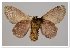  ( - GD-GF 0041)  @11 [ ] Copyright (2019) Guy Durand Unspecified