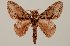  ( - GD-GF 0047)  @11 [ ] Copyright (2019) Guy Durand Unspecified