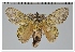  ( - GD-GF 0069)  @11 [ ] Copyright (2019) Guy Durand Unspecified