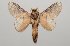  ( - GD-GF 0082)  @11 [ ] Copyright (2019) Guy Durand Unspecified